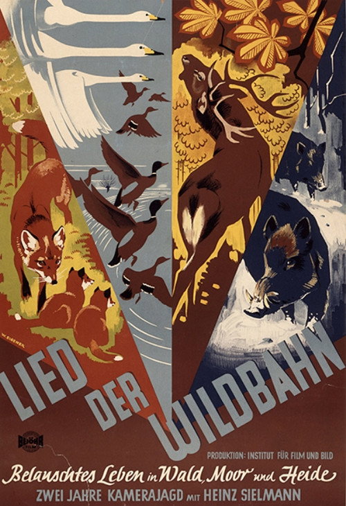 Movie poster for Lied der Wildbahn (1950)
