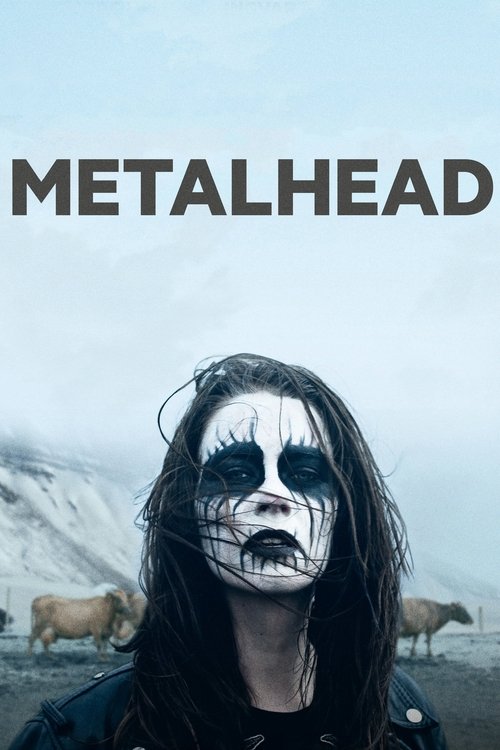 Movie poster for Metalhead (2013)