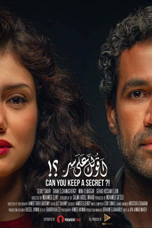 Movie poster for Can You Keep a Secret? (2024)