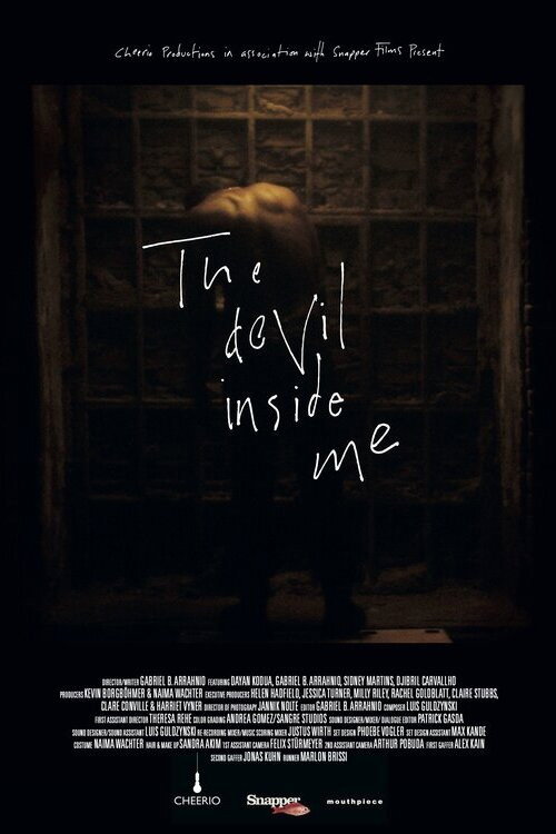 Movie poster for The Devil Inside Me
