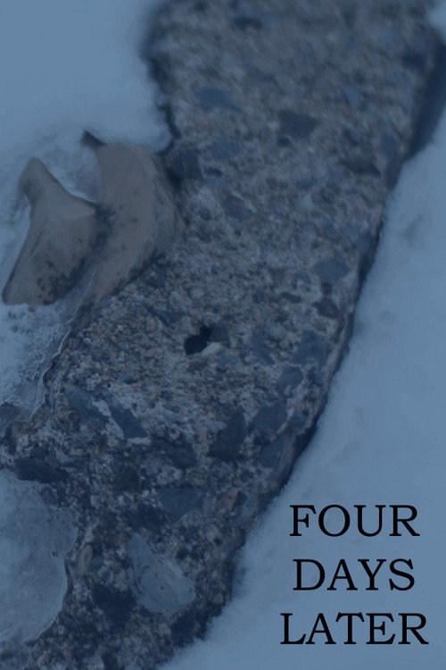 Movie poster for FOUR DAYS LATER (2022)