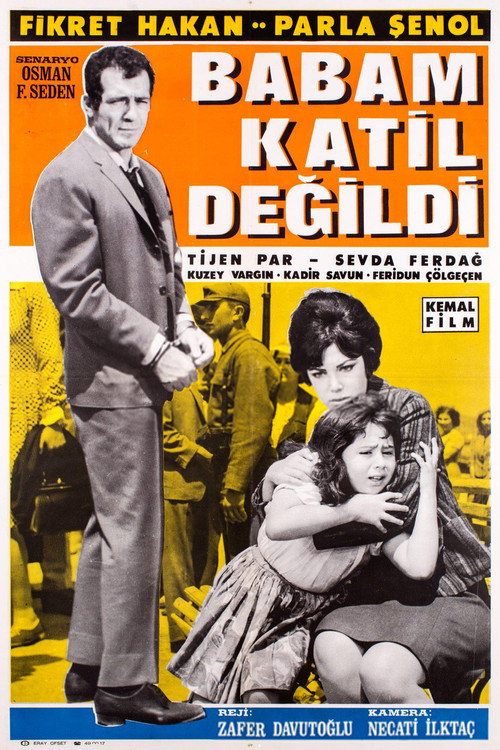 Movie poster for Babam Katil Değildi (1966)
