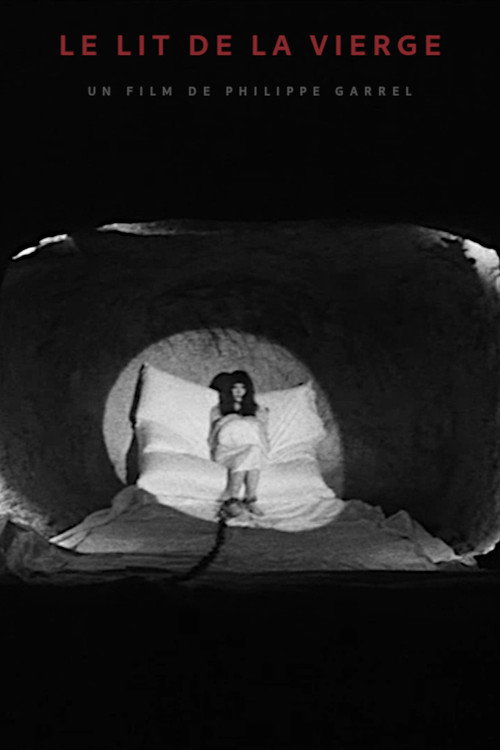 Movie poster for The Virgin's Bed (1969)