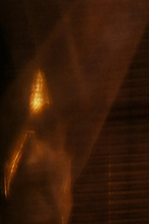 Movie poster for Fenêtres (2004)