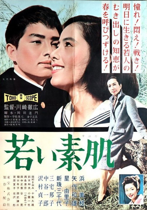 Movie poster for Young Nude (1960)