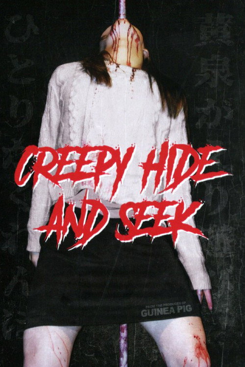 Movie poster for Creepy Hide and Seek (2009)