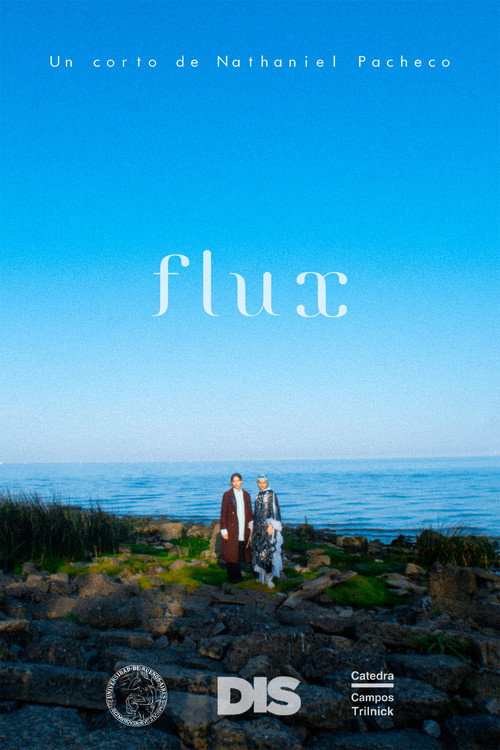 Movie poster for Flux (2022)