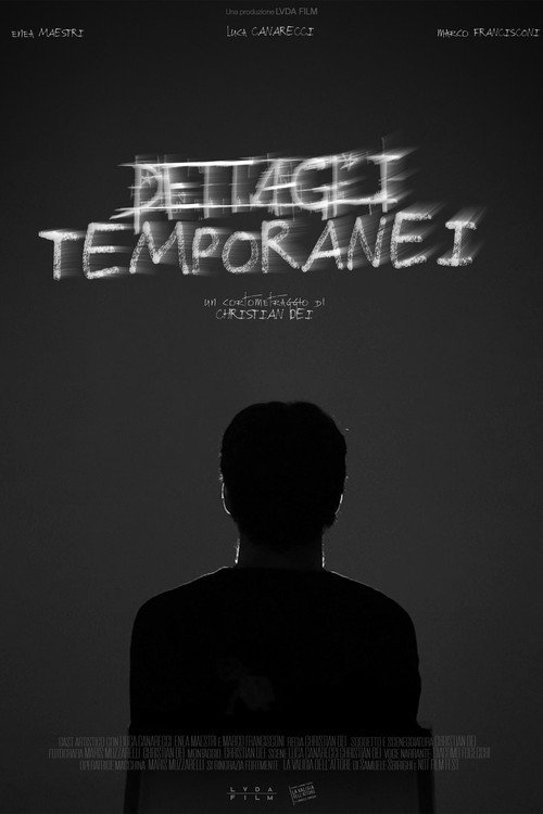 Movie poster for Temporary Details (2024)