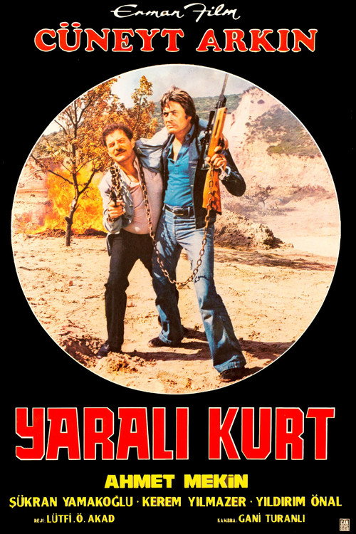 Movie poster for The Wounded Wolf (1972)