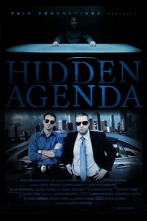 Movie poster for Hidden Agenda (2015)