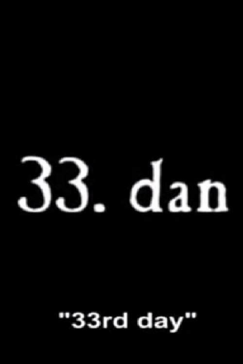 Movie poster for 33rd Day (2008)