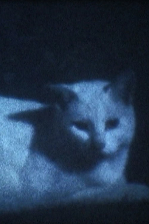 Movie poster for DARK BLACK SHADOW PEOPLE