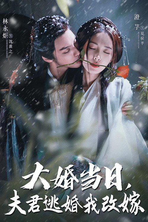 Series poster for 大婚当日夫君逃婚我改嫁 (2025)