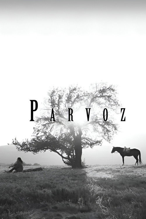 Movie poster for Parvoz (2023)
