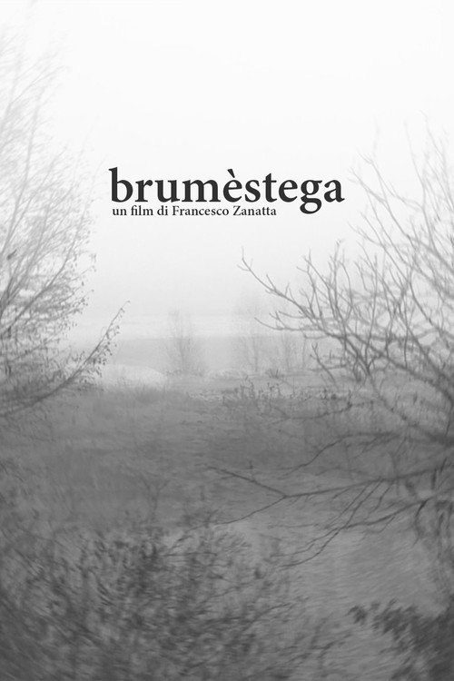 Movie poster for brumèstega (2022)