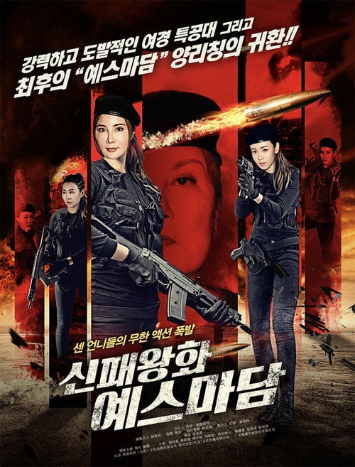 Movie poster for New Lady Enforcers (2018)