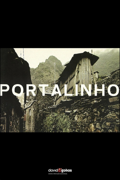 Movie poster for Portalinho