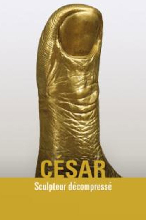 Movie poster for César sculpteur décompressé (2017)