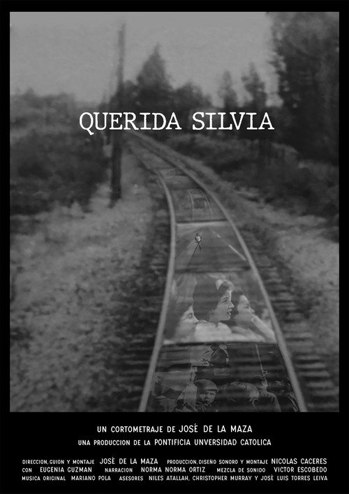 Movie poster for Dear Silvia (2021)