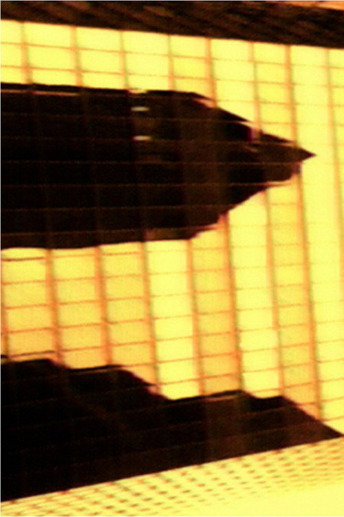 Movie poster for Commission Stratégie à 3 Ans (2003)
