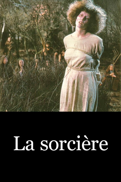 Movie poster for The Sorceress (1982)