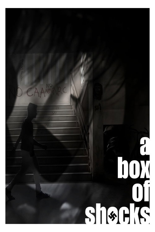 Movie poster for A Box of Shocks (2022)
