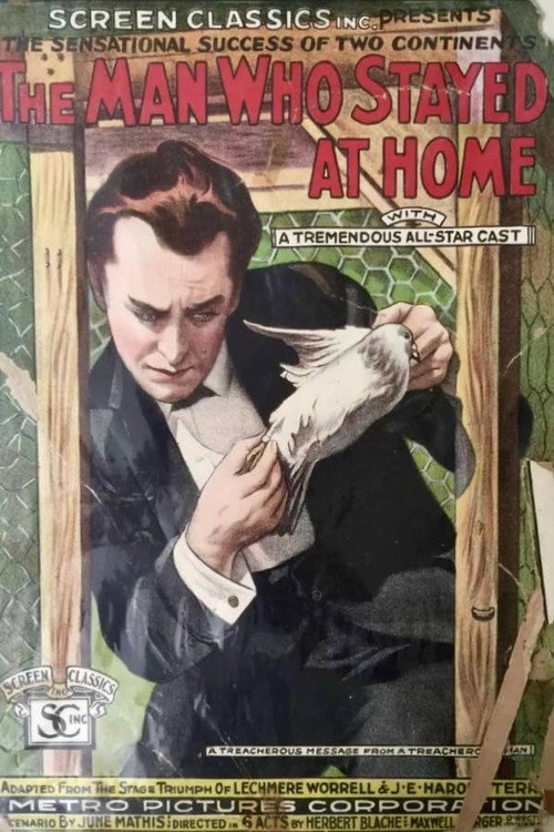 Movie poster for The Man Who Stayed at Home (1919)