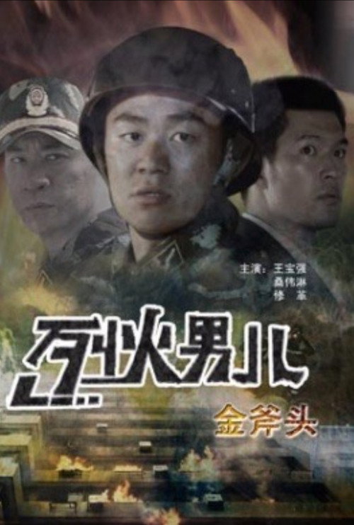 Movie poster for Fire Boy: The Gold Axe (2008)