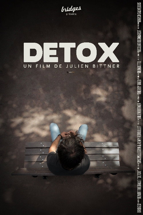 Movie poster for Detox (2012)