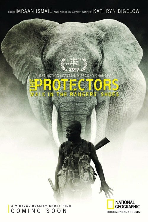 Movie poster for The Protectors (2017)