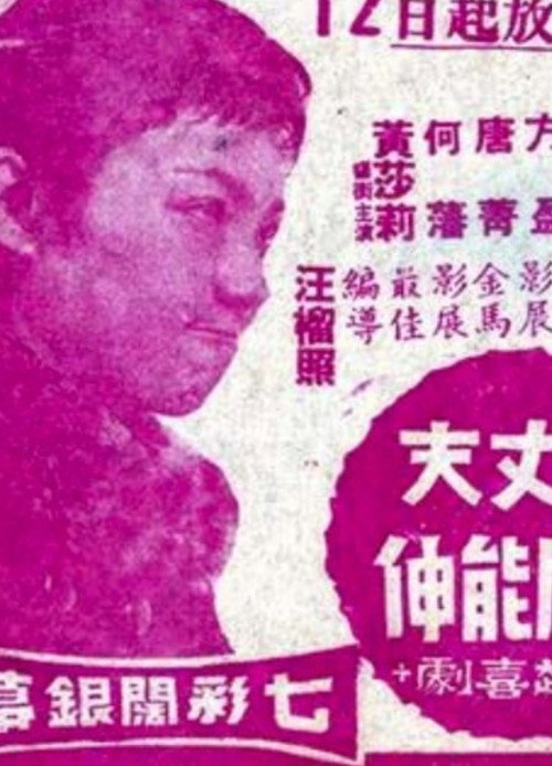 Movie poster for What's Good for a Goose (1970)