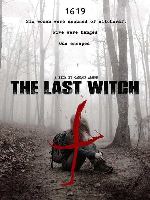 Movie poster for The Last Witch (2015)