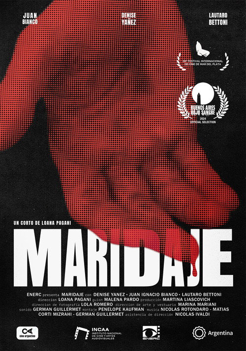 Movie poster for Maridaje (2024)