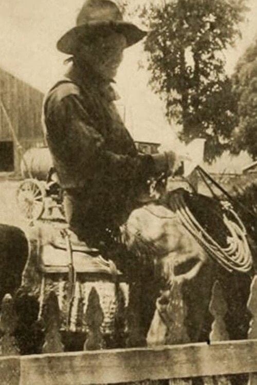 Movie poster for Chip of the Flying U (1914)