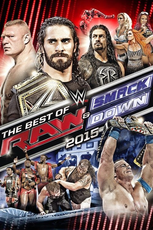 Movie poster for WWE The Best of Raw & SmackDown 2015 (2016)