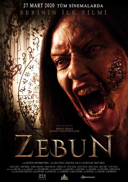 Movie poster for Zebun (2022)