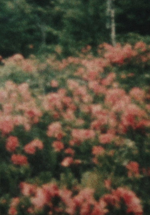 Movie poster for From the Window (1974)