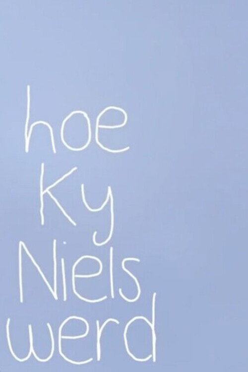 Movie poster for Hoe Ky Niels werd (2014)