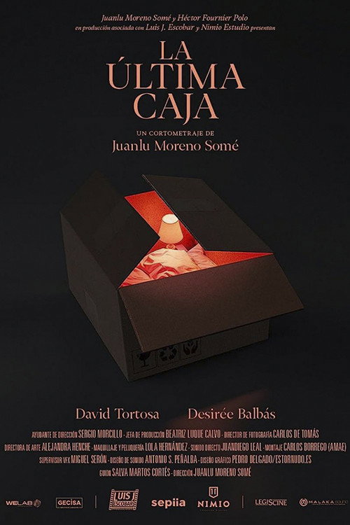 Movie poster for La última caja