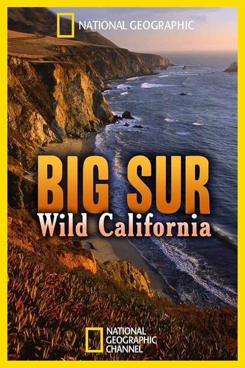 Movie poster for Big Sur: Wild California (2010)