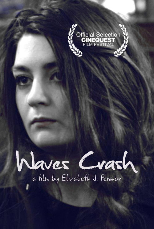 Movie poster for Waves Crash (2017)