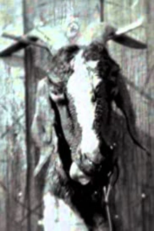 Movie poster for Slipknot: Goat (2011)