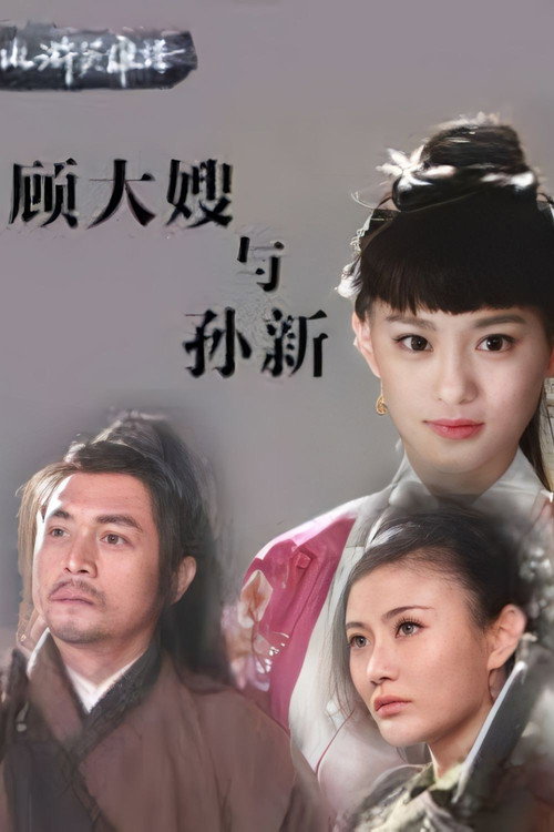 Movie poster for A Special Task (2014)