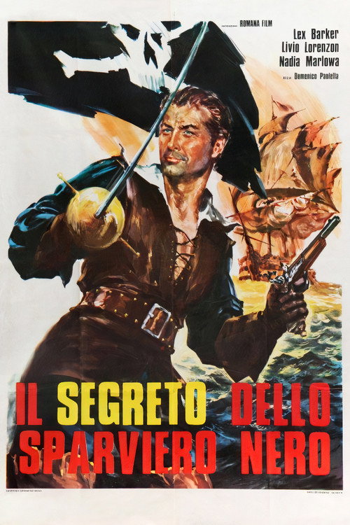 Movie poster for The Secret of the Black Falcon (1961)