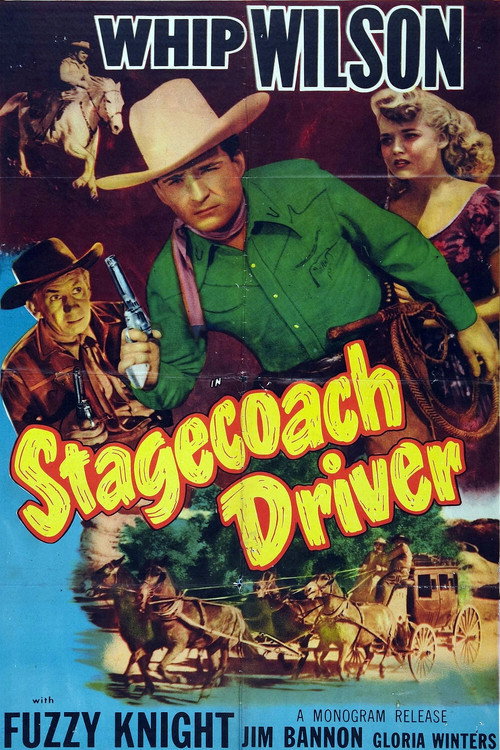 Movie poster for Stagecoach Driver (1951)