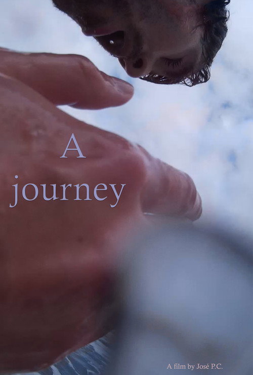 Movie poster for A Journey (2017)