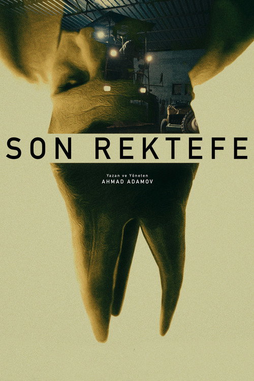 Movie poster for Final Repair