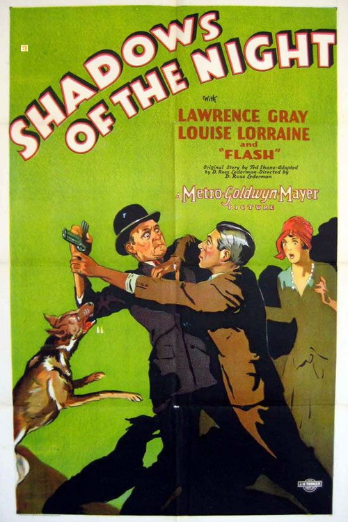 Movie poster for Shadows of the Night (1928)
