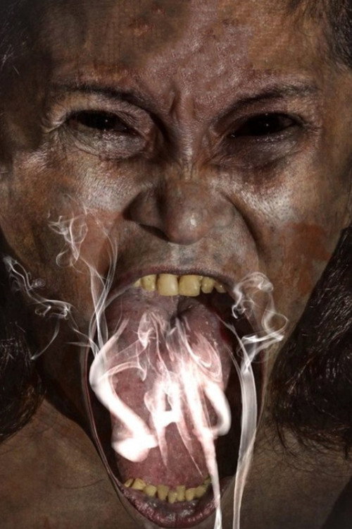 Movie poster for Possession (2013)