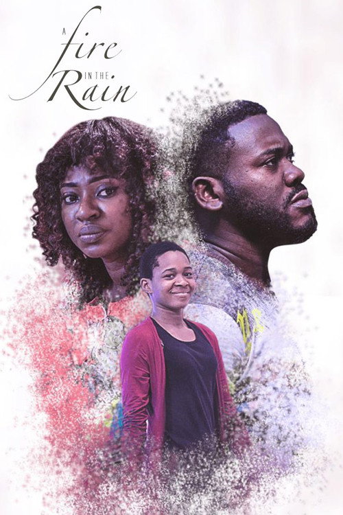 Movie poster for A Fire In The Rain (2017)